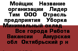 Мойщик › Название организации ­ Лидер Тим, ООО › Отрасль предприятия ­ Уборка › Минимальный оклад ­ 15 300 - Все города Работа » Вакансии   . Амурская обл.,Октябрьский р-н